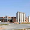 Banas Dairy's Ambitious Investment in Gujarat